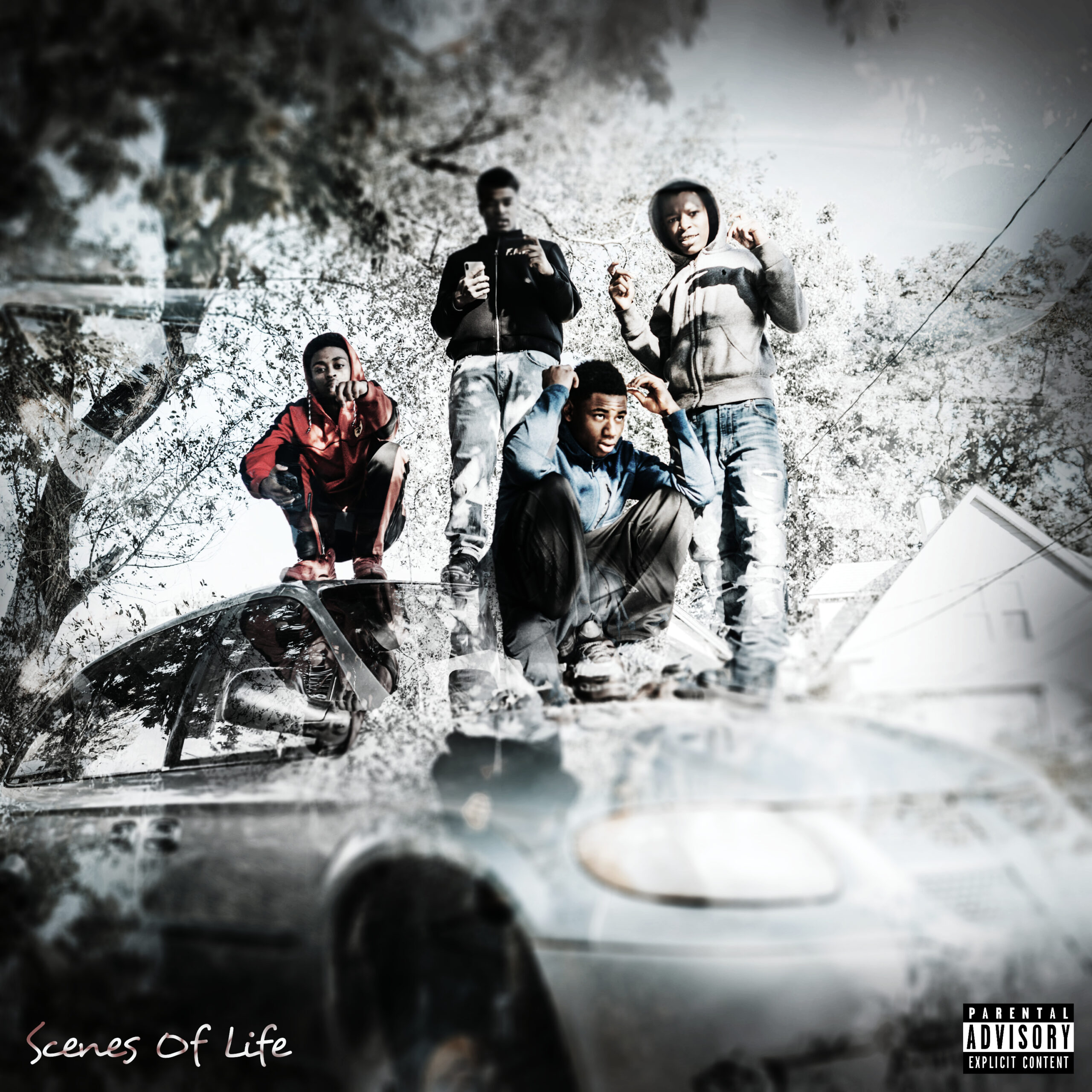 Scenes Of Life